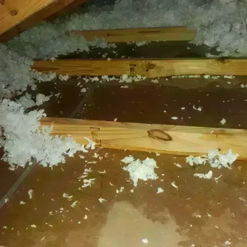 Attic Water Damage in Dover, MA